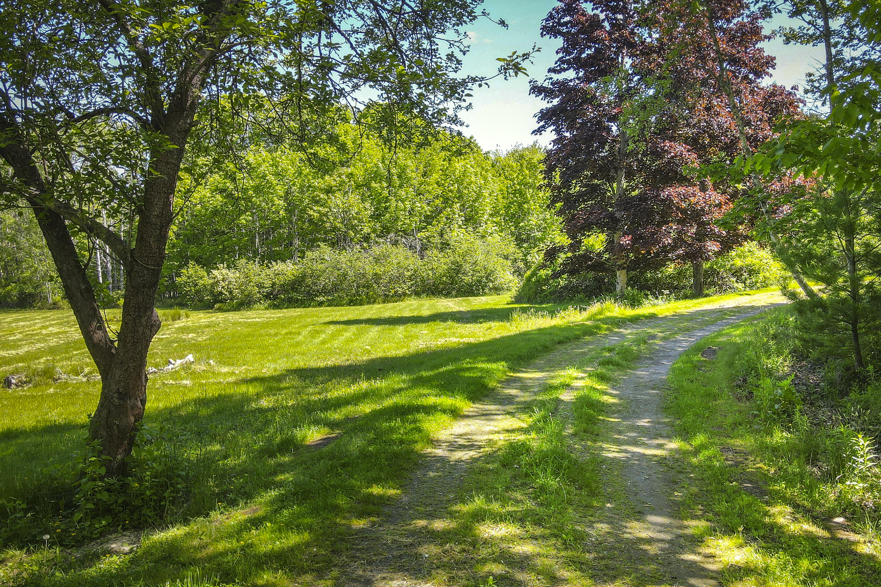 69 Hamalainen Road Spruce Head, ME 04859 - Photo 19 of 20 21-69HamalainenRd-SpruceHead-KS