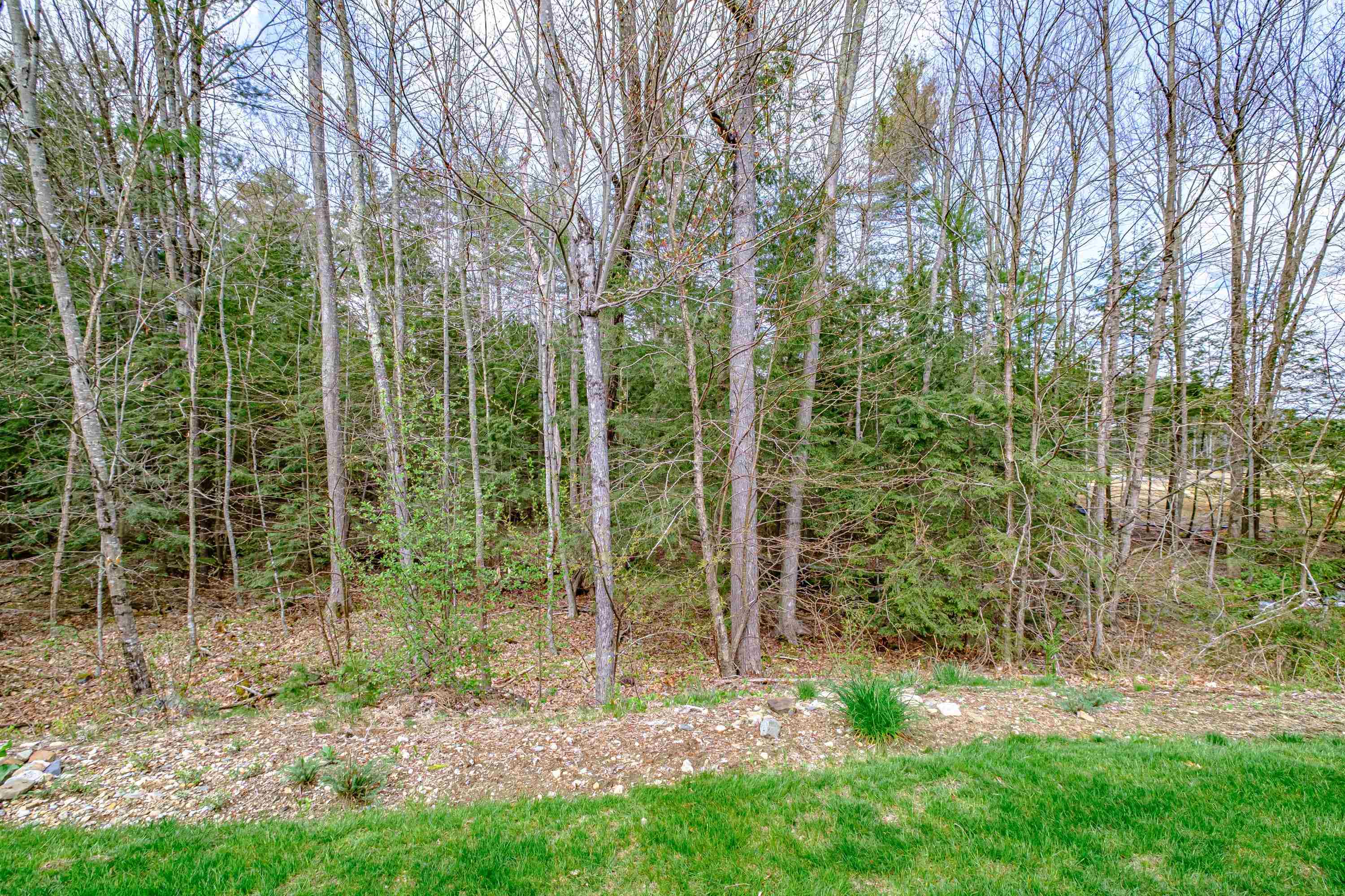 6 Blair Drive Rochester, NH 03868 - Photo 33 of 37