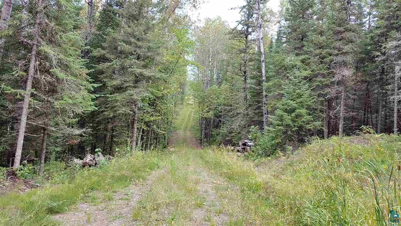 80 West Riek Road Orr, MN 55771 - Photo 5 of 31