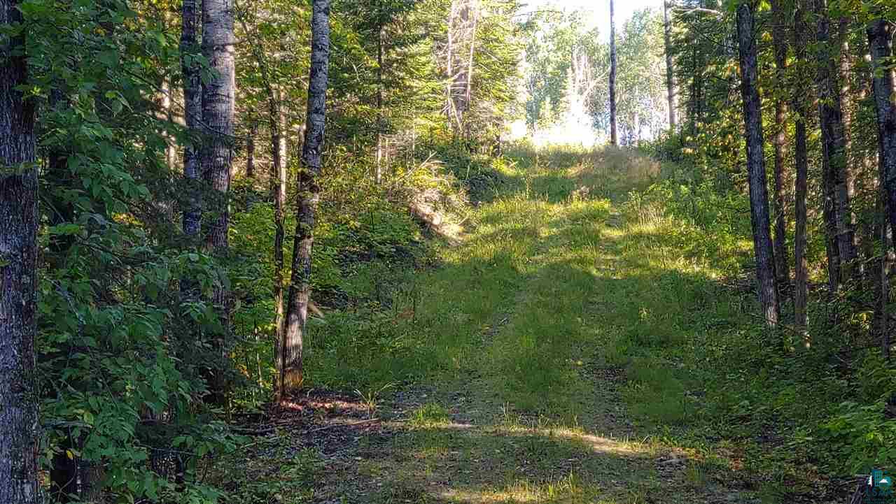 80 West Riek Road Orr, MN 55771 - Photo 6 of 31
