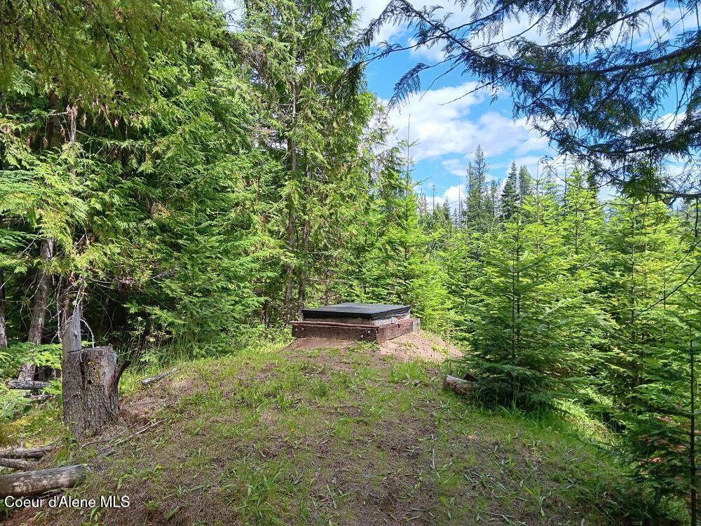 452 Toad Road Priest River, ID 83856 - Photo 43 of 43 IMG_0959