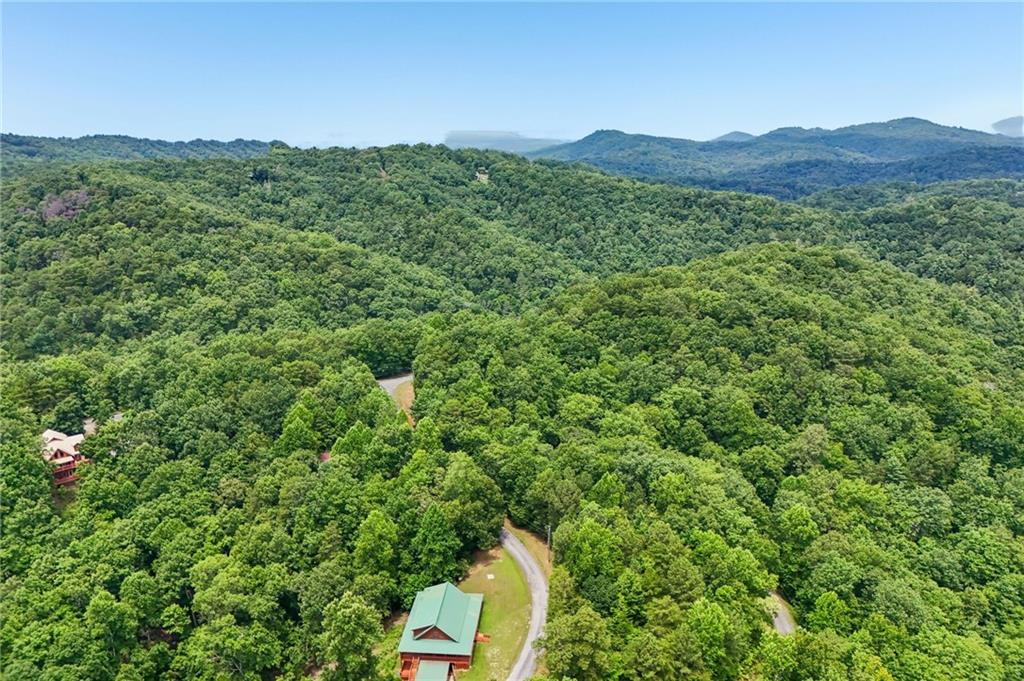 1384 Crystal Lane Northeast Ranger, GA 30734 - Photo 72 of 89 a view of a lush green field with a mountain in the background