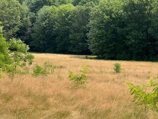 Lot 14 Merriland Ridge Rd Wells Wells, ME 04090 - Photo 2 of 2 0 Merriland Ridge Road