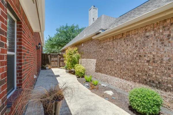 a view of a backyard with plants