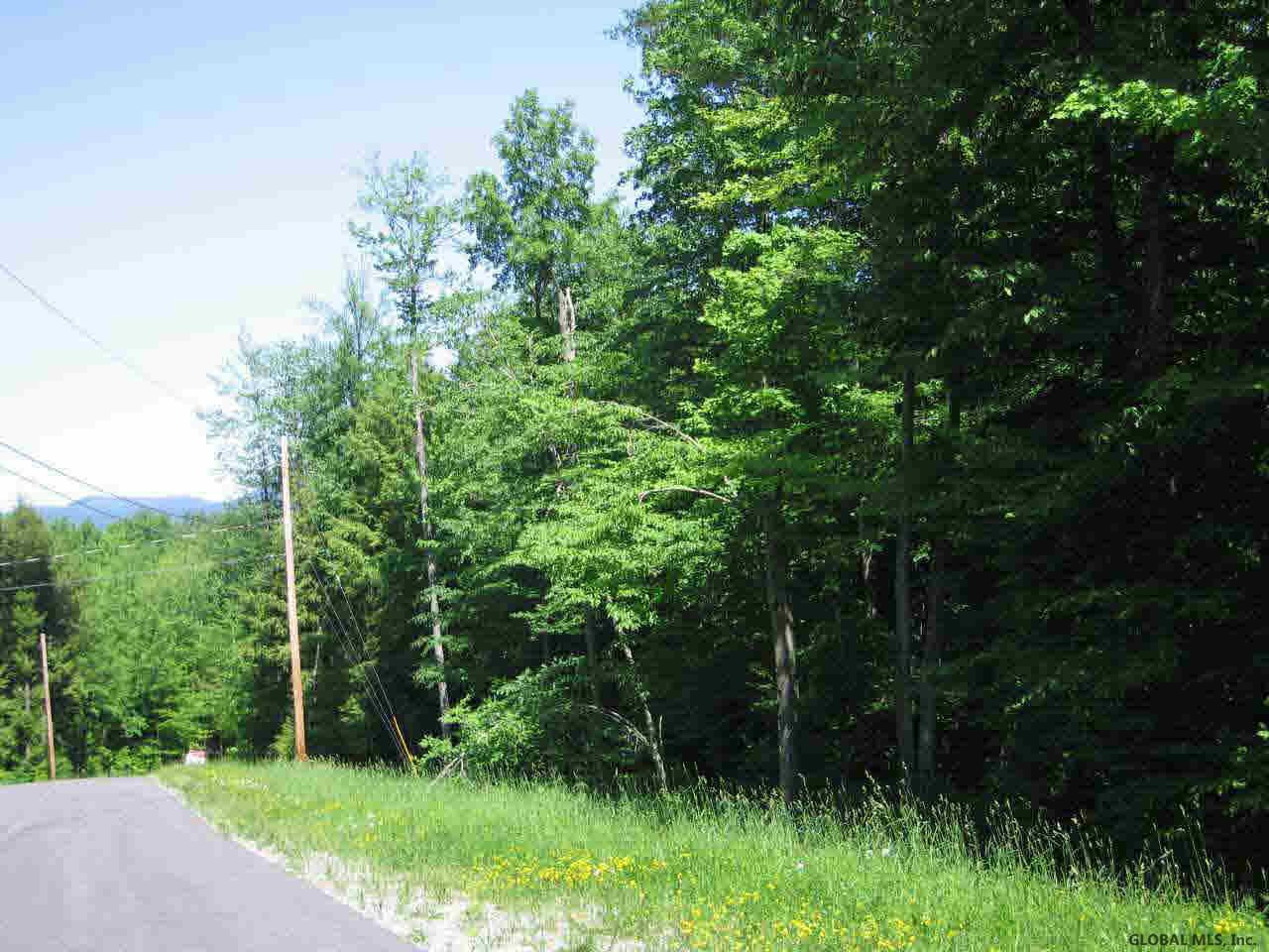 8 Diamond Ridge Road Bolton, NY 12824 - Photo 1 of 5 Photo 1