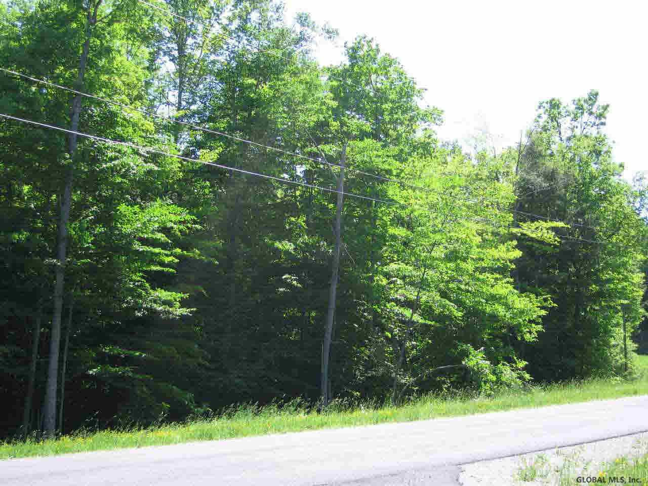 8 Diamond Ridge Road Bolton, NY 12824 - Photo 4 of 5 Photo 4