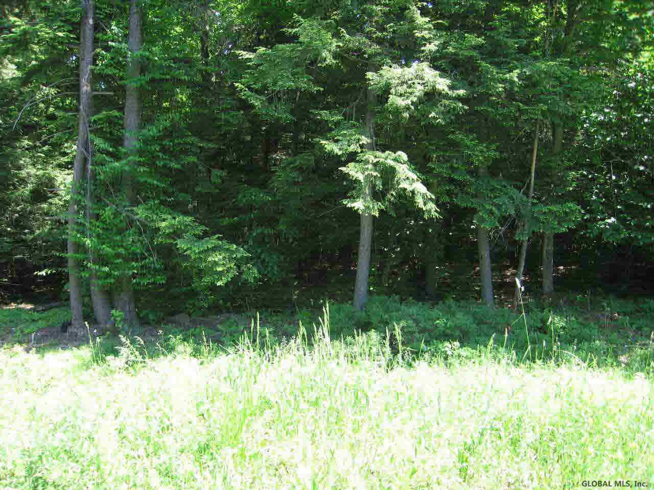 8 Diamond Ridge Road Bolton, NY 12824 - Photo 5 of 5 Photo 5