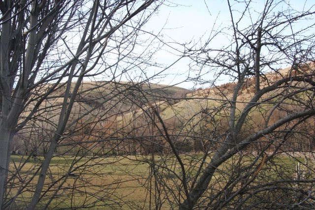 -xxx Biscuit Ridge Road Walla Walla, WA 99362 - Photo 14 of 16 Gallery Image 14