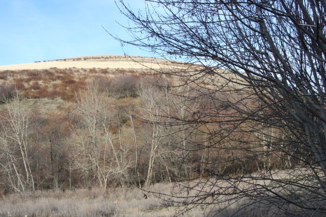 -xxx Biscuit Ridge Road Walla Walla, WA 99362 - Photo 15 of 16 Gallery Image 15