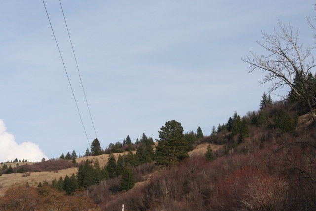 -xxx Biscuit Ridge Road Walla Walla, WA 99362 - Photo 16 of 16 Gallery Image 16