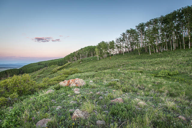 Tbd East Tbd E Hull Ridge Road Ridgway, CO 81432 - Photo 29 of 32 20130615-SJR19-33