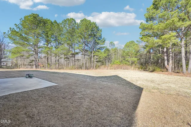 a view of road and trees