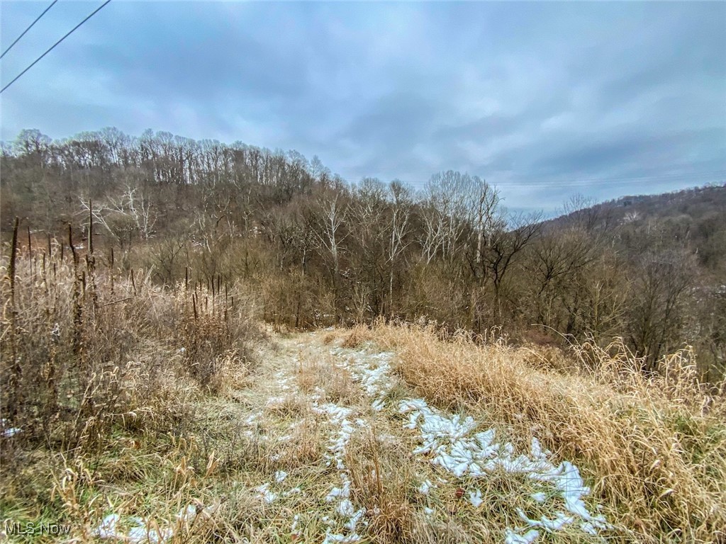 0 Trough Run Road Bellaire, OH 43906 - Photo 4 of 46 View of woods