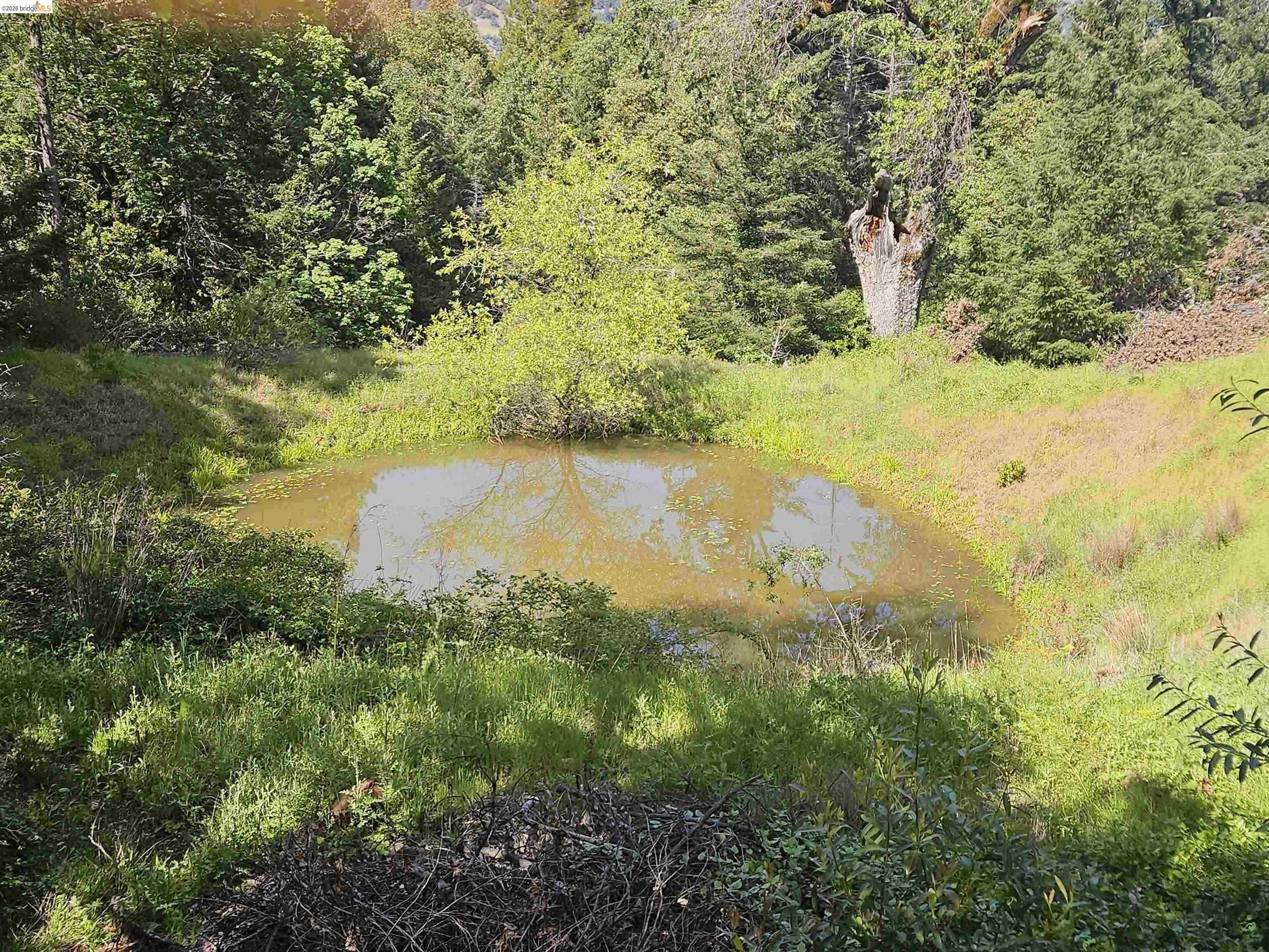 49100 Wickersham Road Geyserville, CA 95441 - Photo 41 of 76