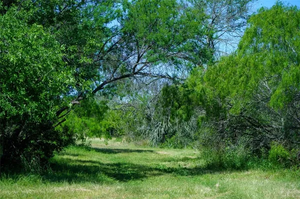 a green field with lots of bushes