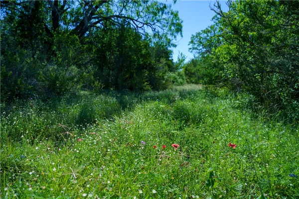 a view of a field with an ocean