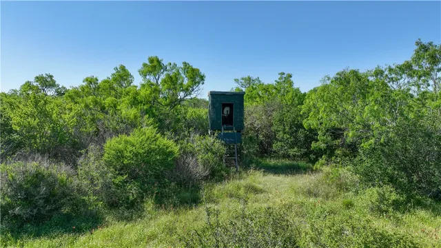 an aerial view of residential houses with outdoor space and trees