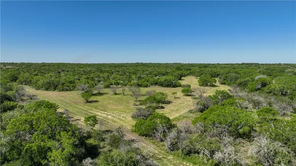 an aerial view of a houses with a lush green forest