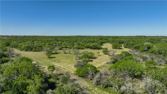 an aerial view of a houses with a lush green forest