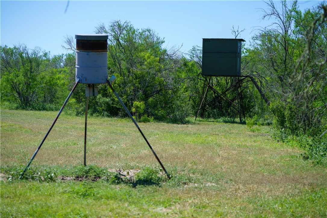 48-ac County Road 114 George West, TX 78022 - Photo 26 of 28 a backyard of a house with lots of green space