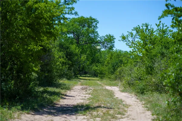 $479,000 | 48-ac County Road 114, George West, TX 78022