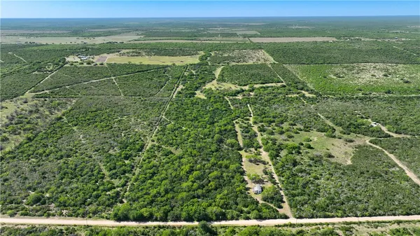 a view of a field with an ocean