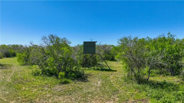 a big yard with lots of green space and a building in the background