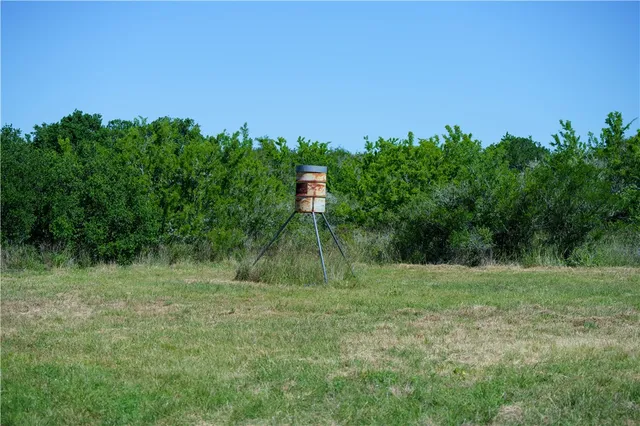a view of a yard with a building in the background