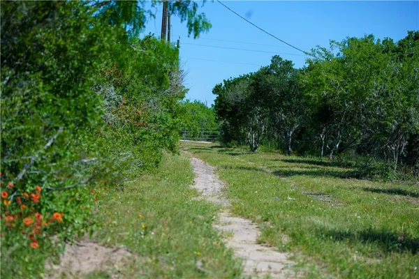 a view of a lush green space