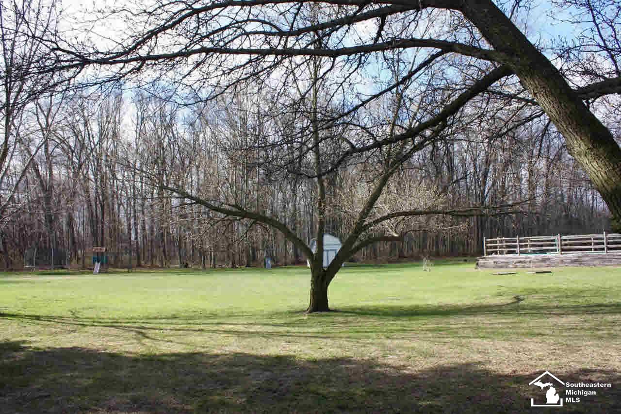 4125 Clegg Road Lambertville, MI 48144 - Photo 27 of 30 Backyard