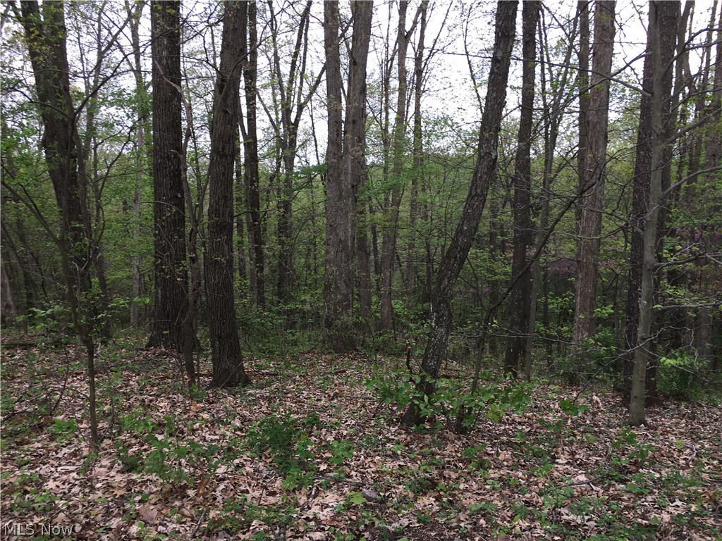 12200 Ripley Road Southeast Uhrichsville, OH 44683 - Photo 23 of 29 Gallery Image 23