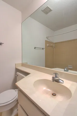 a bathroom with a sink a toilet and mirror