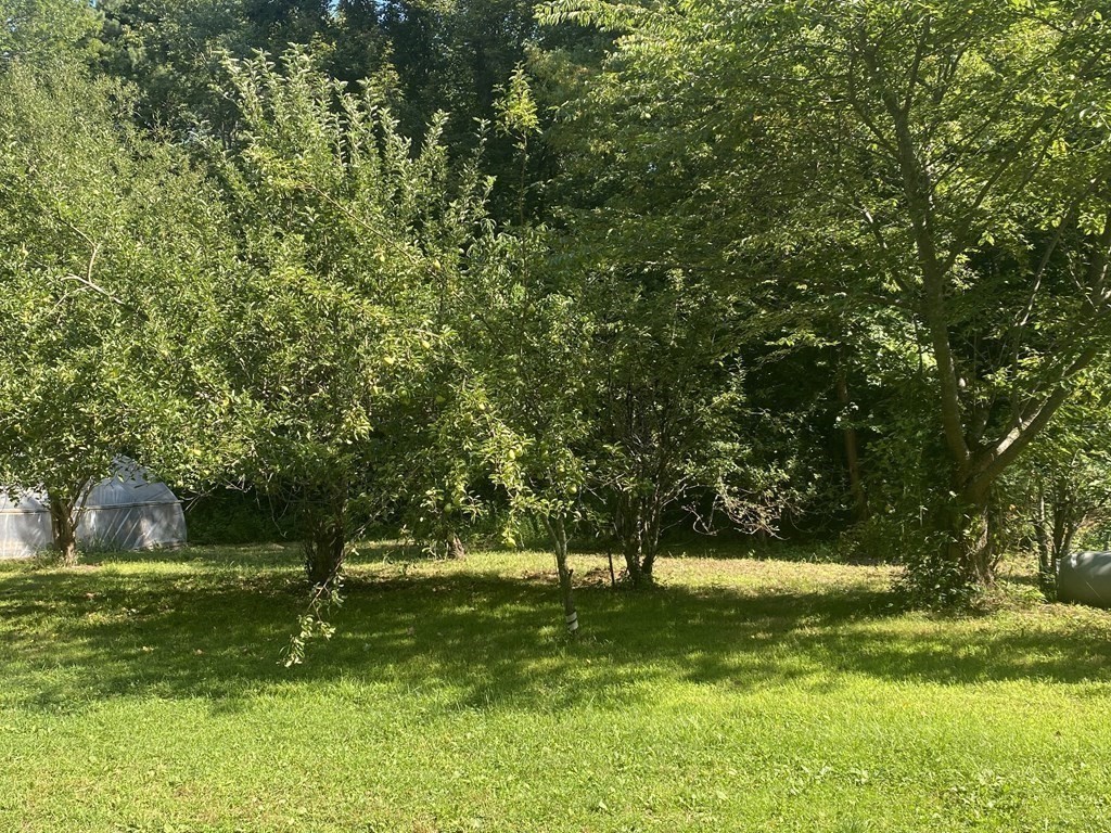 498 Reed Street Warren, MA 01092 - Photo 10 of 38