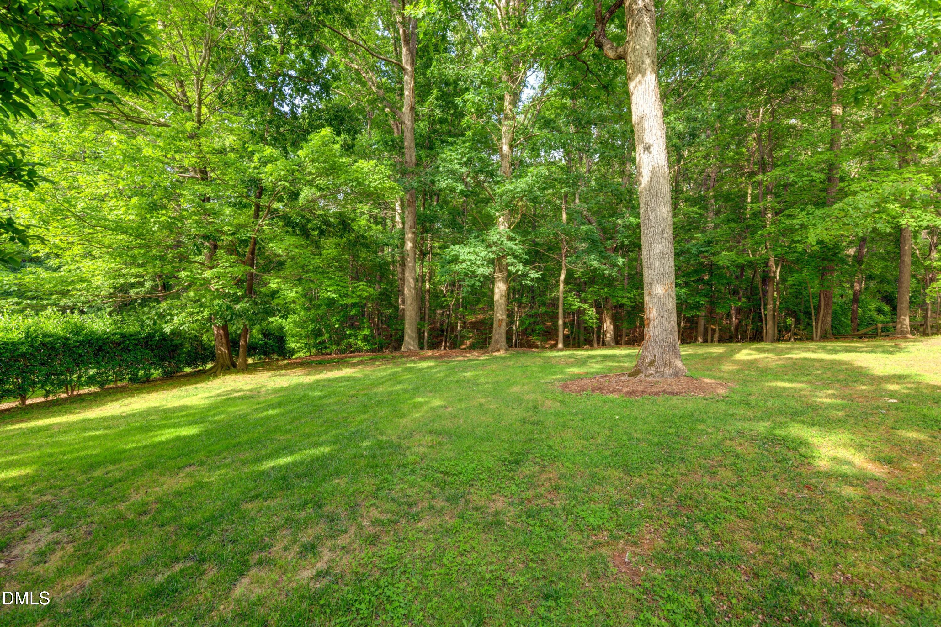 3901 Orchard Point Court Apex, NC 27539 - Photo 78 of 80 photo_078