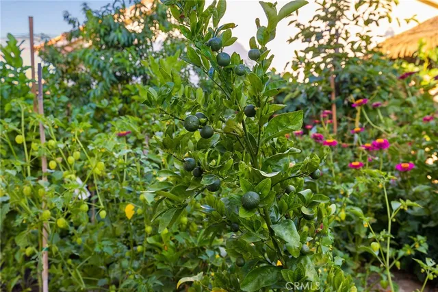 $525,000 | 2157 Pecan Tree Street, Hemet, CA 92545