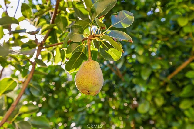 $525,000 | 2157 Pecan Tree Street, Hemet, CA 92545