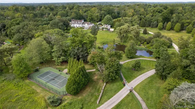 a view of a garden with trees