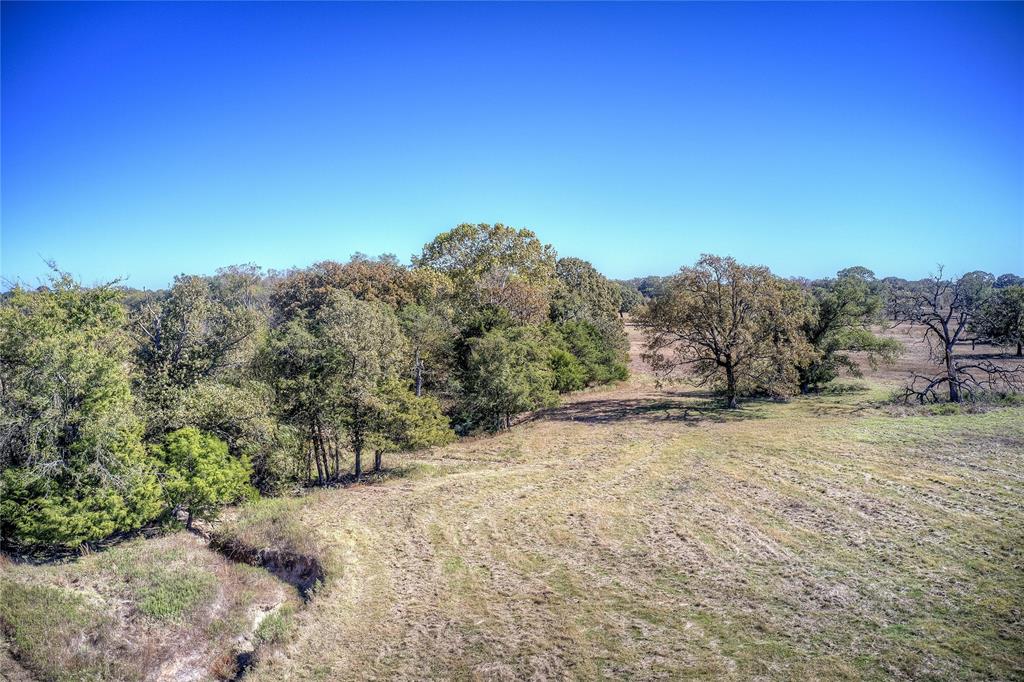 1468 County Road 1468 Quitman, TX 75783 - Photo 6 of 14 a view of a dirt road with large trees