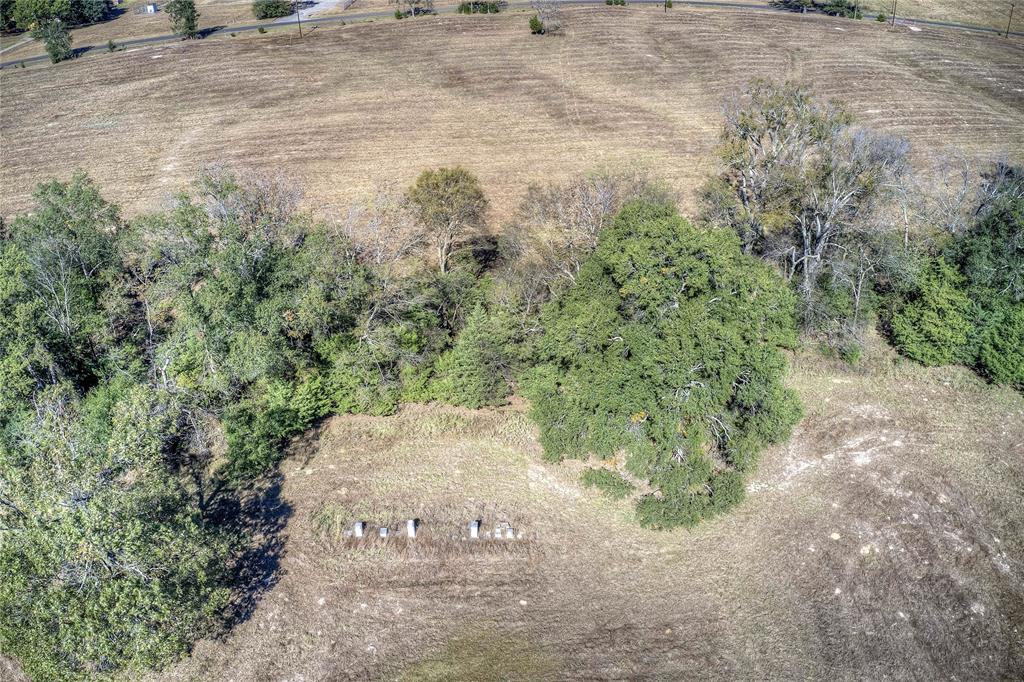 1468 County Road 1468 Quitman, TX 75783 - Photo 9 of 14 a view of a trees in a yard