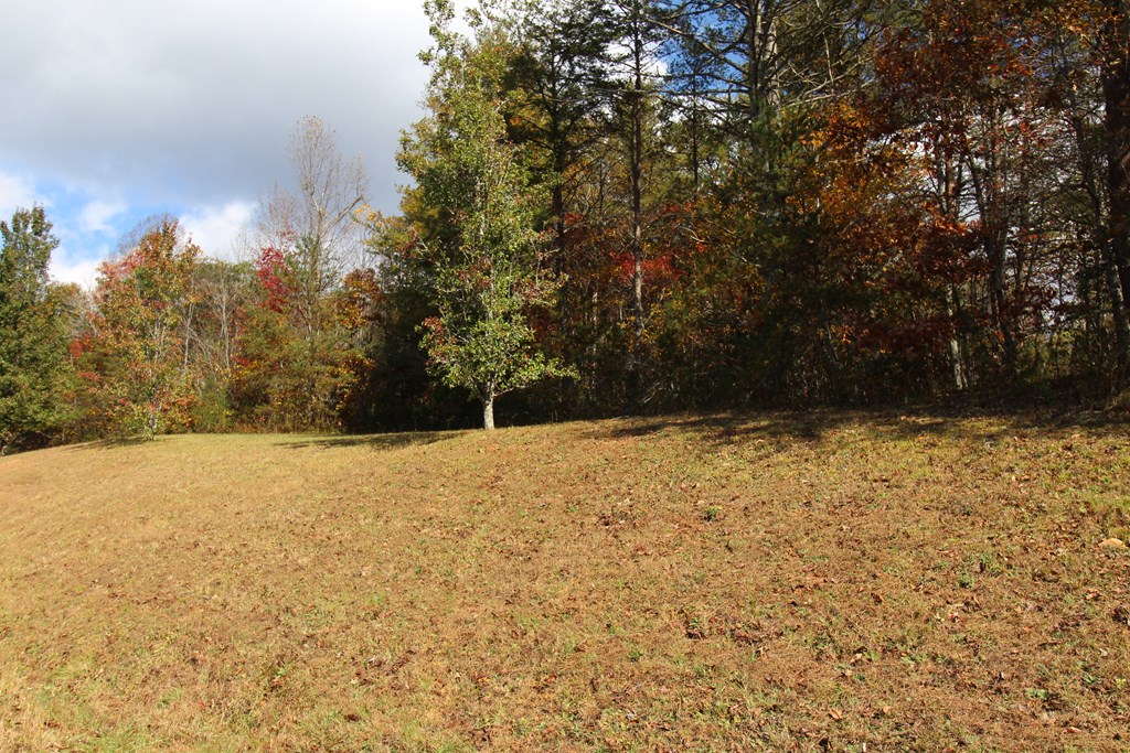 Lot 17 Old Taylors Ferry Ridge Murphy, NC 28906 - Photo 8 of 10