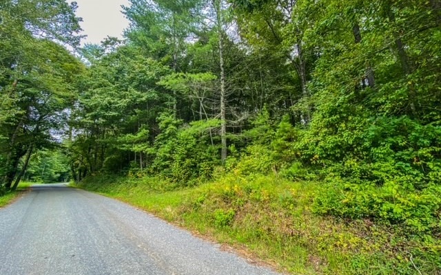 5-ac Haygood Road Mineral Bluff, GA 30559 - Photo 4 of 4 Additional View