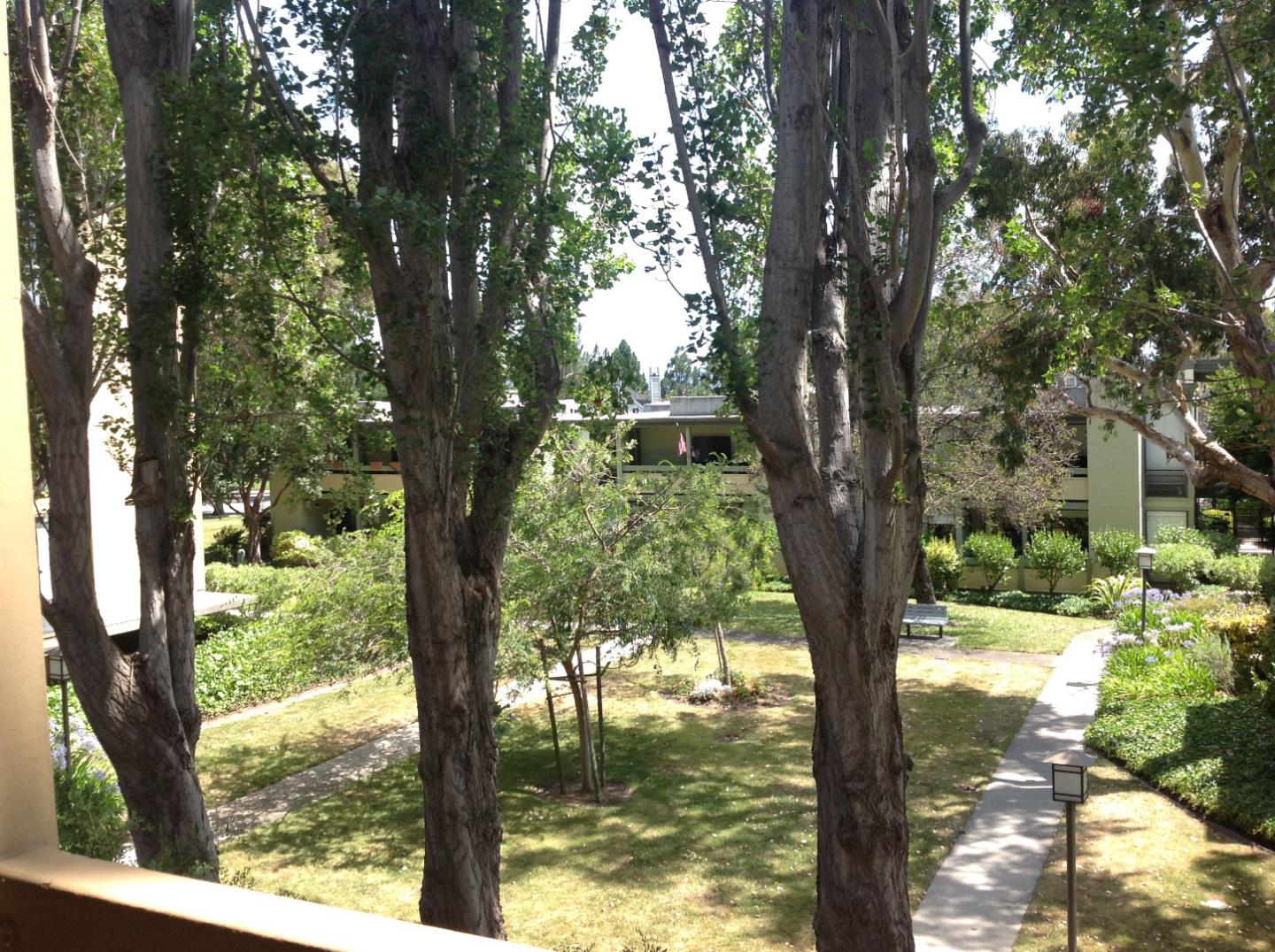 1171 Compass Lane, Unit 202 Foster City, CA 94404 - Photo 4 of 8 a view of a tree in the yard next to a tree