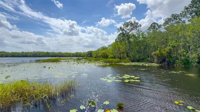 $367,000 | 6829 Sundrop Street, Harmony, FL 34773