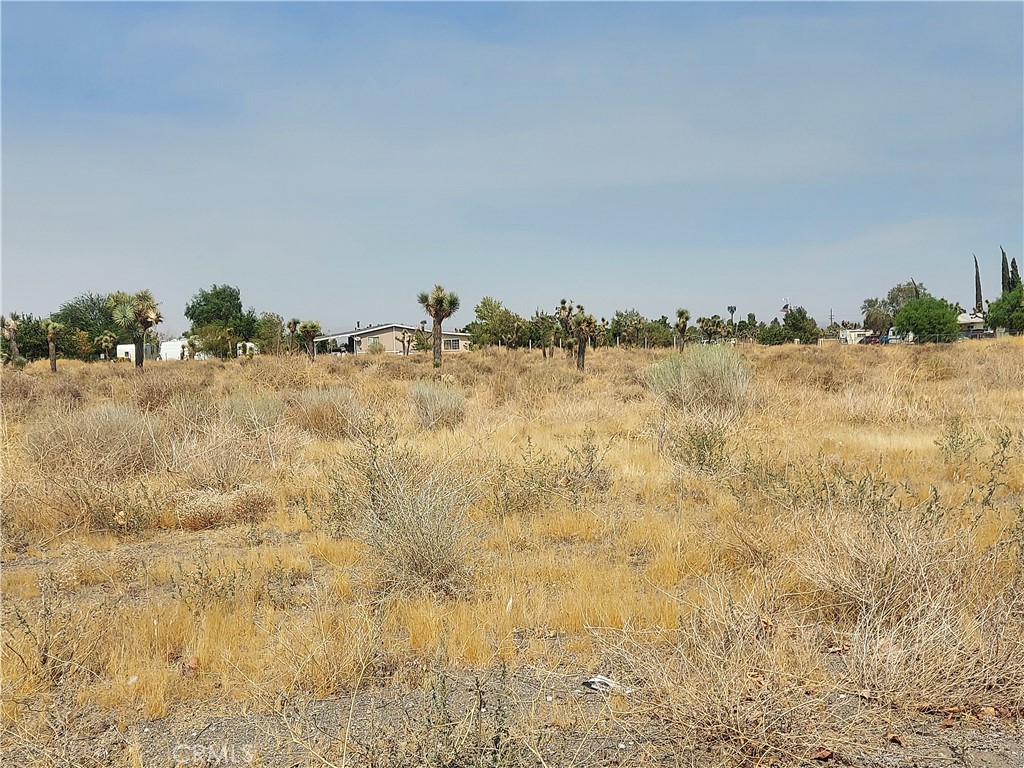 0 Mono Parcel Road, Unit 306920113 Phelan, CA 92371 - Photo 1 of 1 a view of beach and small yard