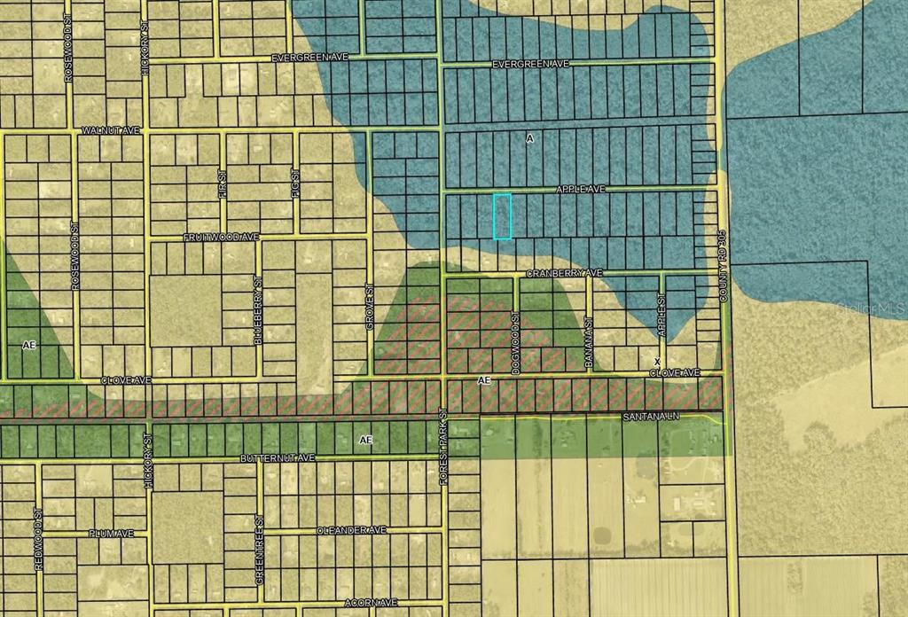 3853 Apple Avenue Bunnell, FL 32110 - Photo 2 of 2 a view of a glass door