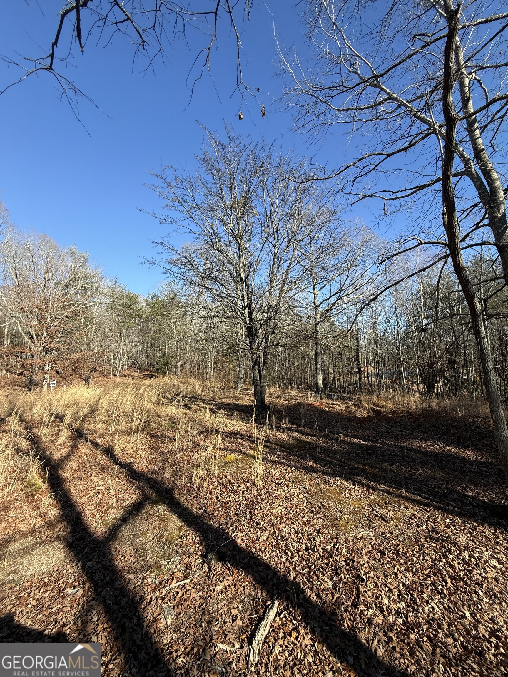 196 Mt Pleasant Church Road Cleveland, GA 30528 - Photo 2 of 5