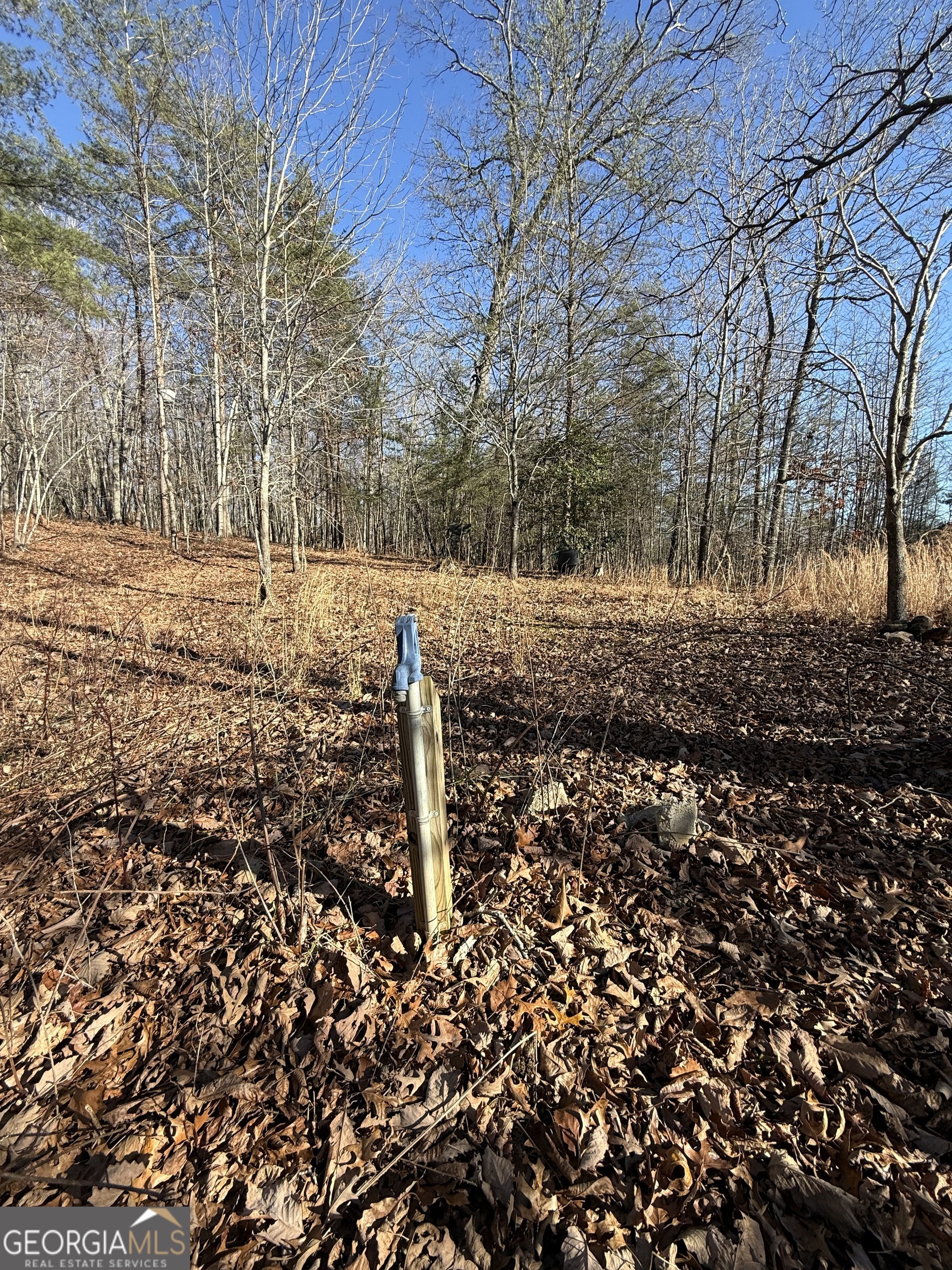 196 Mt Pleasant Church Road Cleveland, GA 30528 - Photo 3 of 5