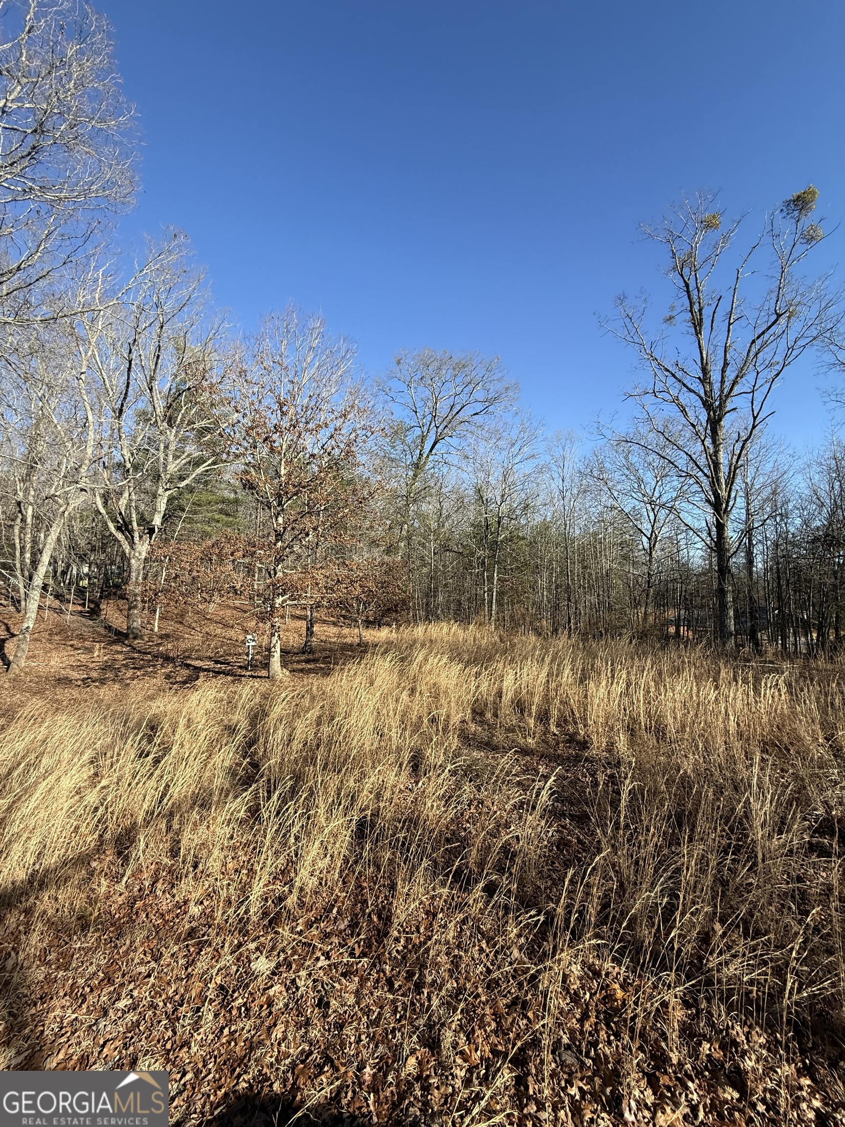 196 Mt Pleasant Church Road Cleveland, GA 30528 - Photo 5 of 5