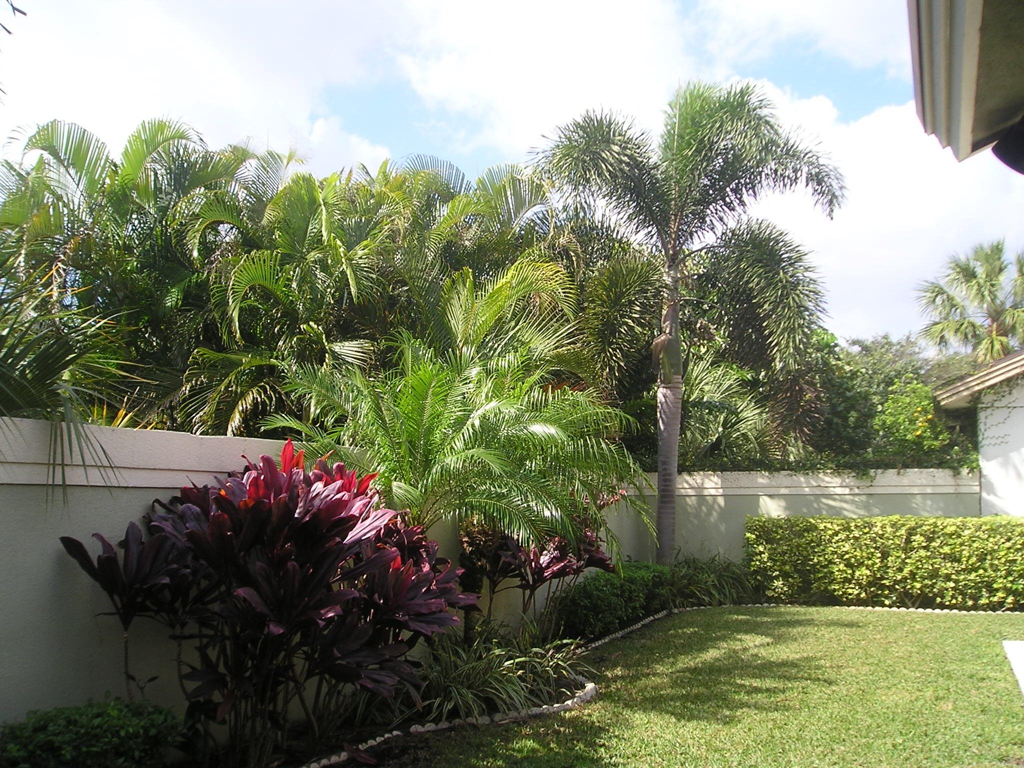 334 Ridge Road Jupiter, FL 33477 - Photo 5 of 19 Back yard (2)