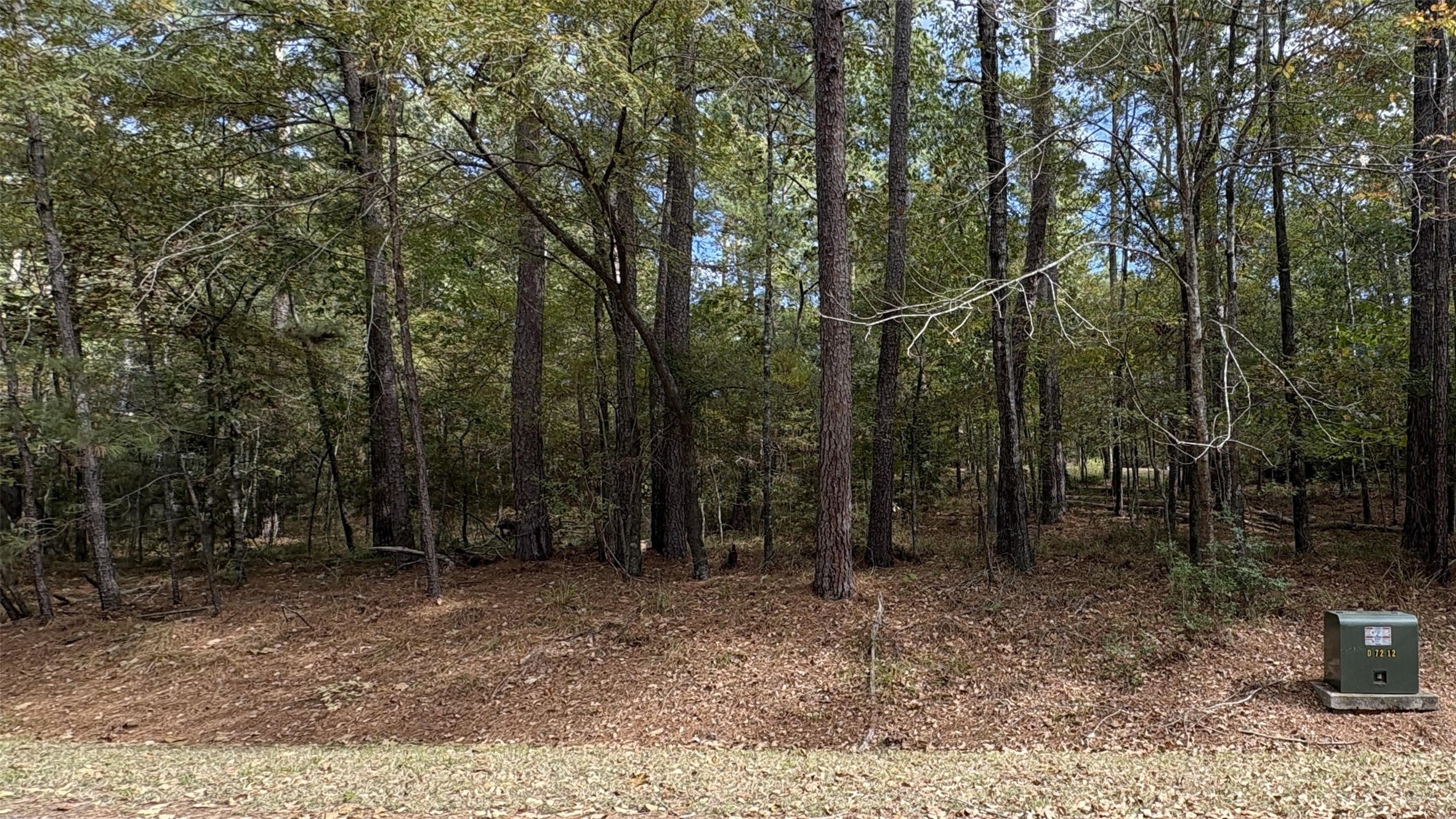 103 Green Tree Drive Coldspring, TX 77331 - Photo 1 of 12 a backyard of a house with lots of green space